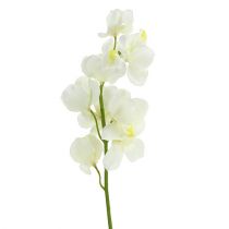 Creme de orquídea artificial 50cm 6pcs