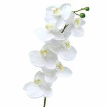 Orquídea Branca 77cm