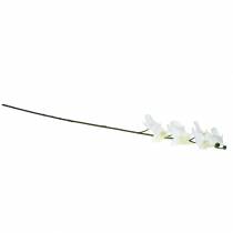 Itens Flor artificial de orquídea artificial branca Ø6,5-8cm 77cm