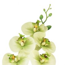 Itens Orquídea Artificial Verde Amarelo Phalaenopsis 85cm
