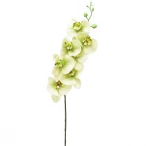 Itens Orquídea Artificial Verde Amarelo Phalaenopsis L83cm