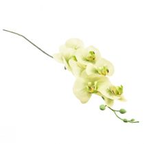 Itens Orquídea Artificial Verde Amarelo Phalaenopsis L83cm