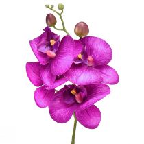Orquídea Artificial Phalaenopsis 4 flores Fúcsia 72cm