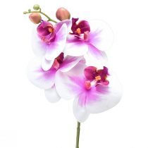 Itens Orquídea Artificial Phalaenopsis 4 Flores Branco Rosa 72cm
