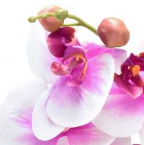 Itens Orquídea Artificial Phalaenopsis 4 Flores Branco Rosa 72cm