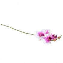 Itens Orquídea Artificial Phalaenopsis 4 Flores Branco Rosa 72cm