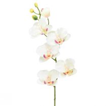 Itens Orquídea Phalaenopsis artificial 6 flores creme rosa 70cm