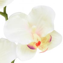 Itens Orquídea Phalaenopsis artificial 6 flores creme rosa 70cm