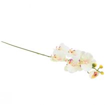 Itens Orquídea Phalaenopsis artificial 6 flores creme rosa 70cm