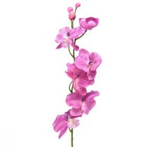 Itens Orquídea Phalaenopsis artificial 6 flores roxas 70cm