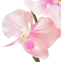 Itens Orquídea Phalaenopsis artificial 6 flores rosa 70cm