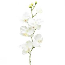 Itens Orquídea Phalaenopsis artificial 6 flores branco creme 70cm