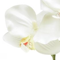 Itens Orquídea Phalaenopsis artificial 6 flores branco creme 70cm