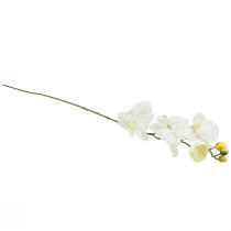 Itens Orquídea Phalaenopsis artificial 6 flores branco creme 70cm