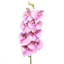 Itens Orquídea Phalaenopsis artificial 8 flores rosa 104cm