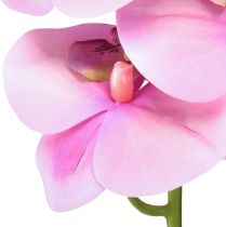 Itens Orquídea Phalaenopsis artificial 8 flores rosa 104cm