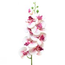 Itens Orquídea Phalaenopsis artificial 9 flores branco fúcsia 96cm