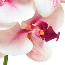 Itens Orquídea Phalaenopsis artificial 9 flores branco fúcsia 96cm