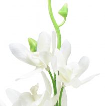 Itens Orquídeas artificiais Oncidium flores artificiais brancas 90cm