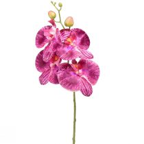 Orquídea em chamas artificial Phalaenopsis roxa 72cm