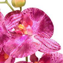 Itens Orquídea em chamas artificial Phalaenopsis roxa 72cm