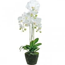 Itens Orquídeas artificiais para vaso branco 80cm