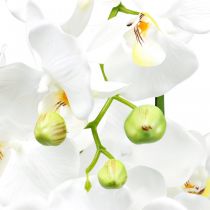 Itens Orquídeas artificiais para vaso branco 80cm