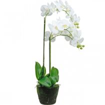 Itens Orquídeas artificiais para vaso branco 80cm