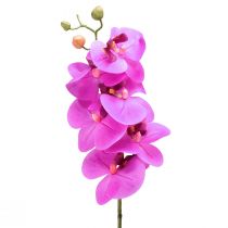 Itens Orquídea artificial Phalaenopsis Orquídea Rosa 78cm