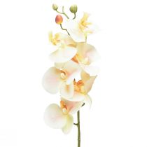 Itens Orquídea Artificial Creme Laranja Phalaenopsis 78cm