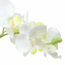 Orquídeas brancas em vaso de planta artificial Alt.35cm