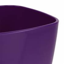 Itens Vaso para orquídeas, brilhante, Ø12,5cm, violeta
