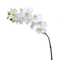 Itens Ramo de orquídea branco L58cm