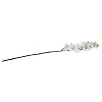 Itens Ramo de orquídea branco L58cm