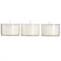 Itens PURE Nature Lights Tealights Cera de colza Ø38mm 40 unidades