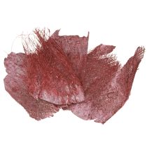 Itens Fibra de palma para artesanato Bordeaux branco lavado 20-40cm 250g