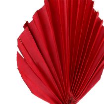 Itens Palm Spear Mini Red 100p