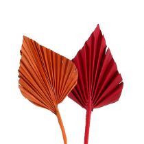 Itens Tipo mini Palmspear. Vermelho/Laranja 100pcs