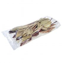 Itens Palmspear mini sortido Marrocos 30 peças