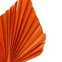Itens Palmspear Laranja 65 unidades