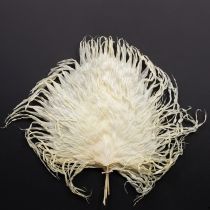 Itens Folhas de palmeira secas decorativas branqueadas 45cm 5 unidades