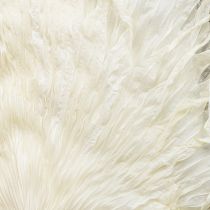 Itens Folhas de palmeira secas decorativas branqueadas 45cm 5 unidades
