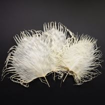 Itens Folhas de palmeira secas e decorativas branqueadas, 45 cm, 5 unidades