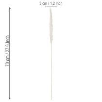 Itens Flores secas de capim-dos-pampas branqueadas, 70 cm, 15 unidades