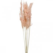 Erva dos pampas seca rosa flores secas decoração natural 65-75cm 6pcs