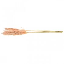 Itens Flores secas de capim-dos-pampas rosa, decoração natural, 65-75 cm, 6 peças