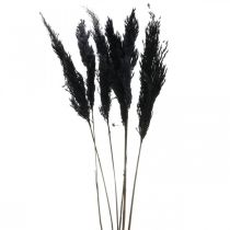 Grama dos pampas preta 65-75cm grama seca decoração natural 6pcs