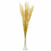 Itens Grama de pampa amarela Grama ornamental artificial Floricultura seca 3 unidades