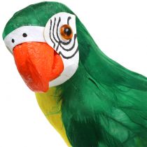 Papagaio decorativo verde 44cm
