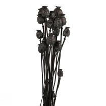 Cápsulas de flores secas de papoula secas Black Papaver 80g